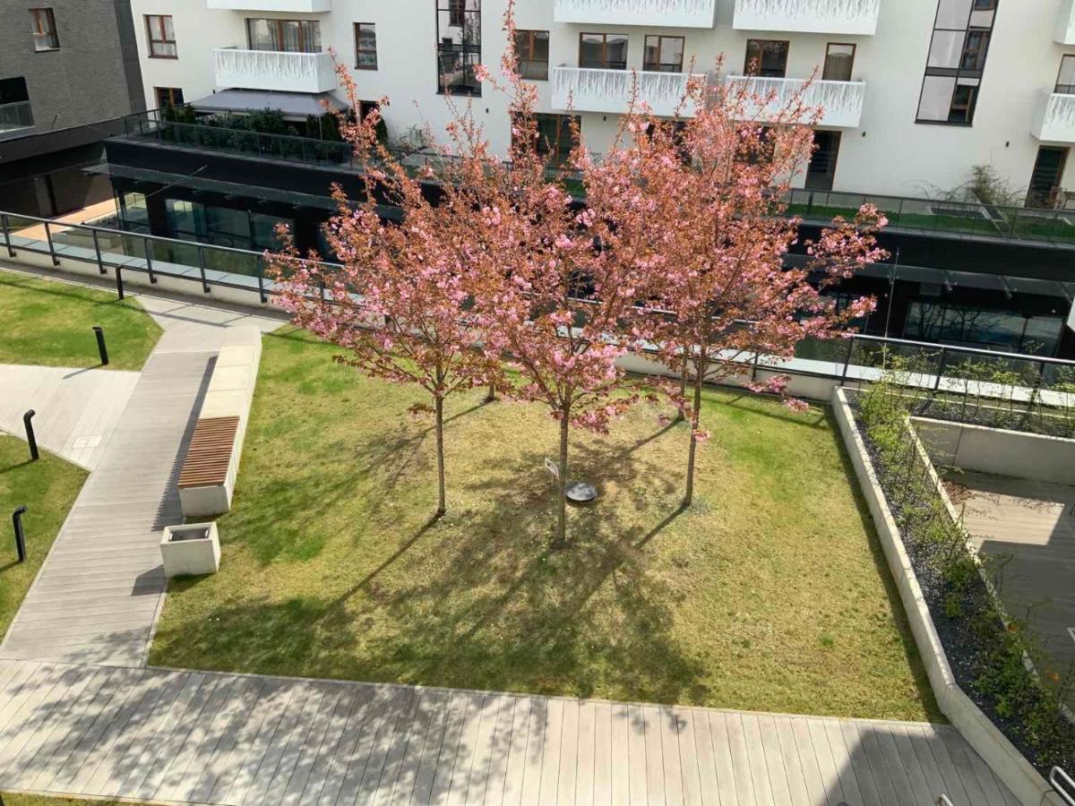 Apartment Z Kominkiem W Sercu Wroclawia 外观 照片